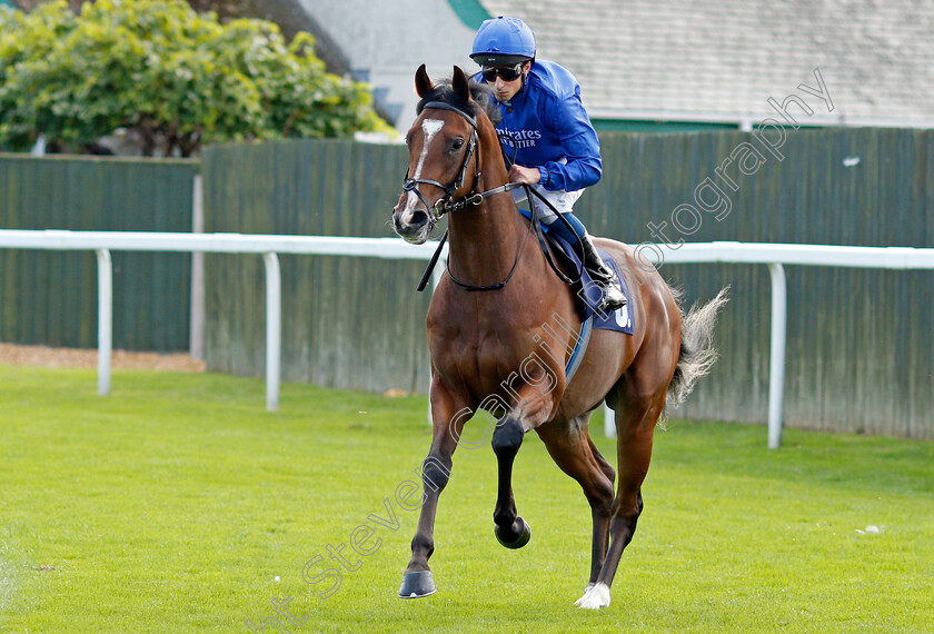 Nations-Pride-0001 
 NATIONS PRIDE (William Buick)
Yarmouth 15 Sep 2021 - Pic Steven Cargill / Racingfotos.com