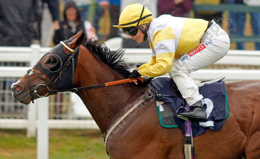 Secret-Handsheikh-0005 
 SECRET HANDSHEIKH (Hollie Doyle) wins The Follow At The Races On Twitter Classified Claiming Stakes 
Yarmouth 14 Sep 2021 - Pic Steven Cargill / Racingfotos.com