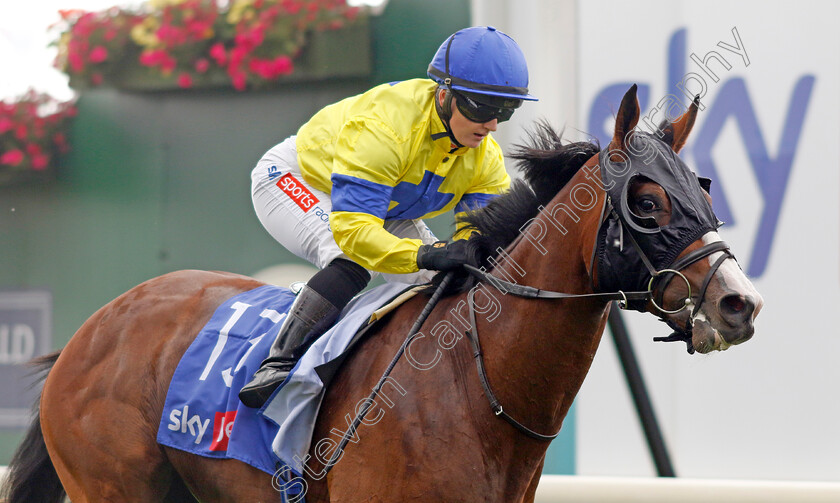 Soulcombe-0008 
 SOULCOMBE (Hollie Doyle) wins The Sky Bet Melrose Stakes
York 20 Aug 2022 - Pic Steven Cargill / Racingfotos.com