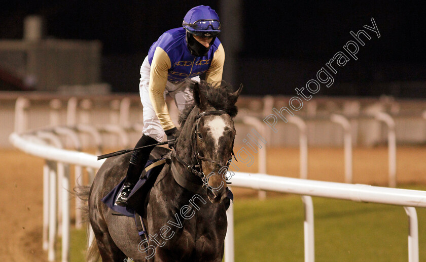 Album-0001 
 ALBUM (Richard Kingscote) winner of The Play 4 To Score At Betway Handicap
Wolverhampton 4 Jan 2021 - Pic Steven Cargill / Racingfotos.com