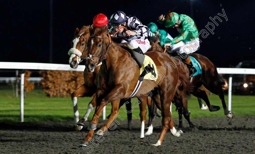 Roman-Spinner-0003 
 ROMAN SPINNER (Luke Morris) wins The Close Brothers Business Finance Nursery Kempton 22 Nov 2017 - Pic Steven Cargill / Racingfotos.com