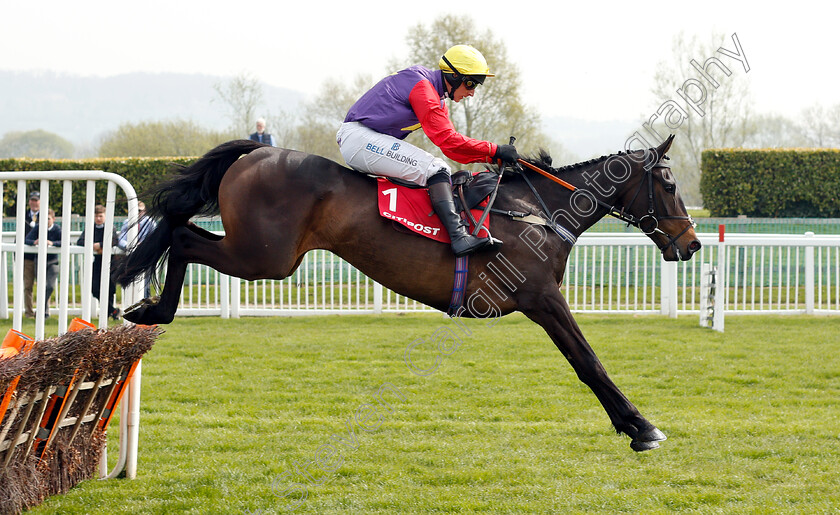 Dashel-Drasher-0005 
 DASHEL DRASHER (Matt Griffiths) wins The Citipost Novices Hurdle
Cheltenham 17 Apr 2019 - Pic Steven Cargill / Racingfotos.com