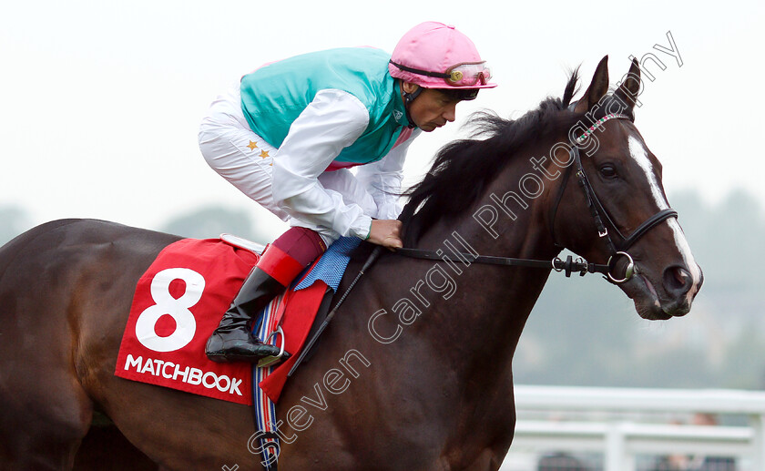 Weekender-0002 
 WEEKENDER (Frankie Dettori)
Sandown 24 May 2018 - Pic Steven Cargill / Racingfotos.com