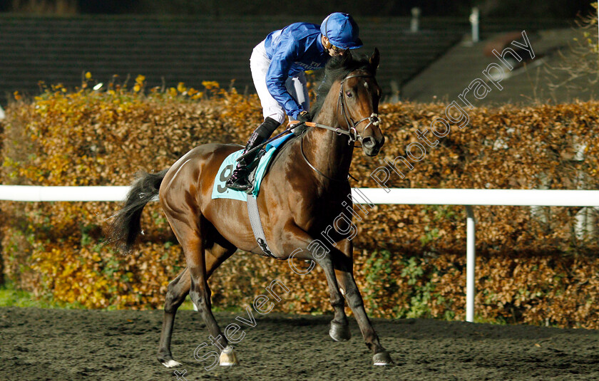 Zakouski-0001 
 ZAKOUSKI (James Doyle) winner of The 32Red Casino ebfstallions.com Novice Stakes Div1
Kempton 21 Nov 2018 - Pic Steven Cargill / Racingfotos.com