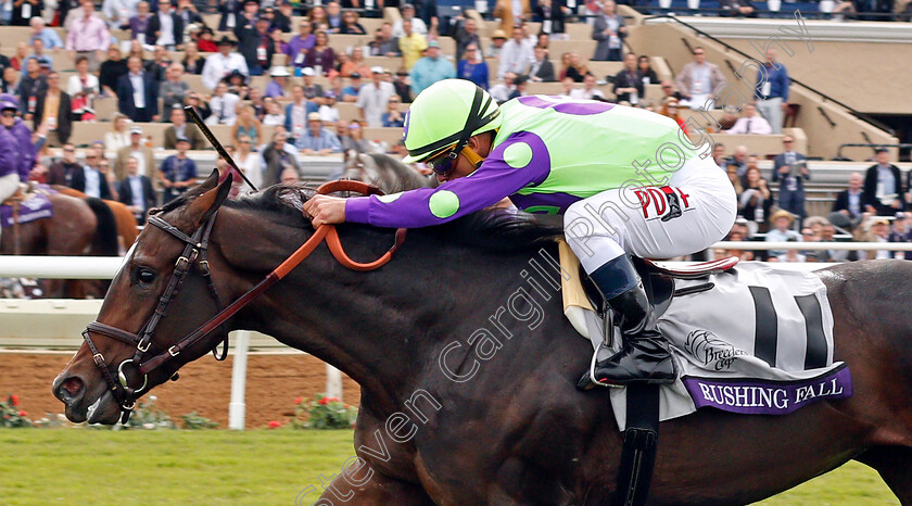 Rushing-Fall-0003 
 RUSHING FALL (Javier Castellano) wins The Breeders' Cup Juvenile Fillies Turf, Del Mar USA 3 Nov 2017 - Pic Steven Cargill / Racingfotos.com