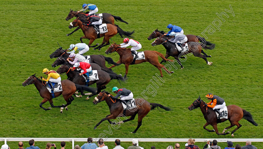 Vercors-0001 
 VERCORS (Cristian Demuro) wins The Prix de Champ Durand
Deauville 3 Aug 2024 - Pic Steven Cargill / Racingfotos.com