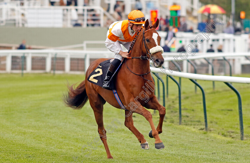 Longuerue-0004 
 LONGUERUE (George Eddery) winner of The Every Race Live On Racing TV Apprentice Handicap
Nottingham 30 May 2023 - Pic Steven Cargill / Racingfotos.com