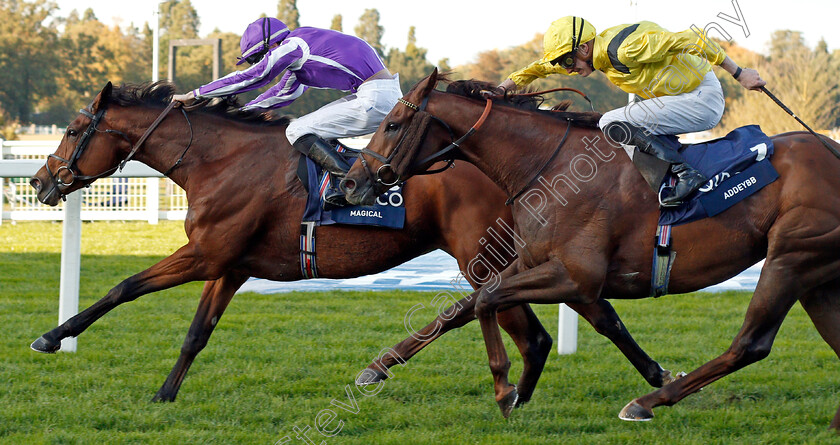 Magical-0006 
 MAGICAL (Donnacha O'Brien) beats ADDEYBB (right) in The Qipco Champion Stakes
Ascot 19 Oct 2019 - Pic Steven Cargill / Racingfotos.com