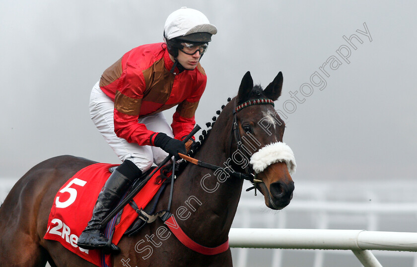 Hope s-Wishes-0001 
 HOPE'S WISHES (David Bass)
Kempton 27 Dec 2018 - Pic Steven Cargill / Racingfotos.com