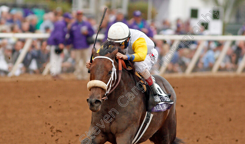 Forever-Unbridled-0004 
 FOREVER UNBRIDLED (John Velazquez) wins The Breeders' Cup Distaff, Del Mar USA 3 Nov 2017 - Pic Steven Cargill / Racingfotos.com