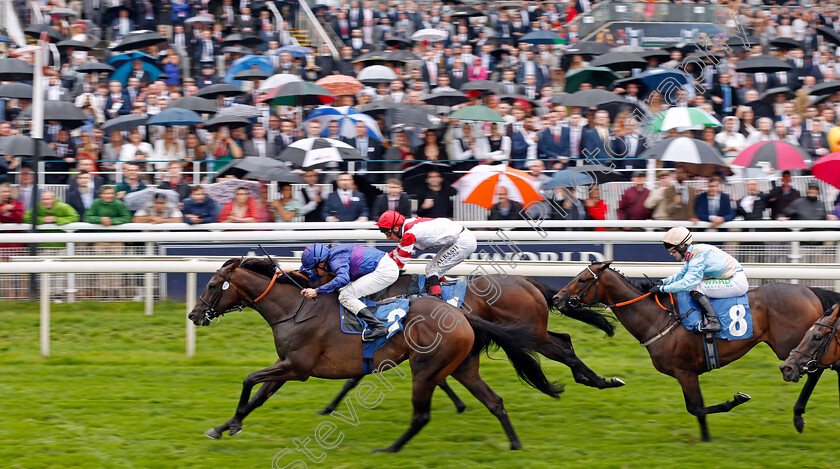 Migration-0004 
 MIGRATION (William Buick) wins The Sky Bet Handicap
York 21 Aug 2021 - Pic Steven Cargill / Racingfotos.com