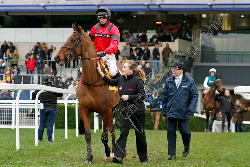 Ahoy-Senor-0001 
 AHOY SENOR (Derek Fox)
Ascot 17 Feb 2024 - Pic Steven Cargill / Racingfotos.com