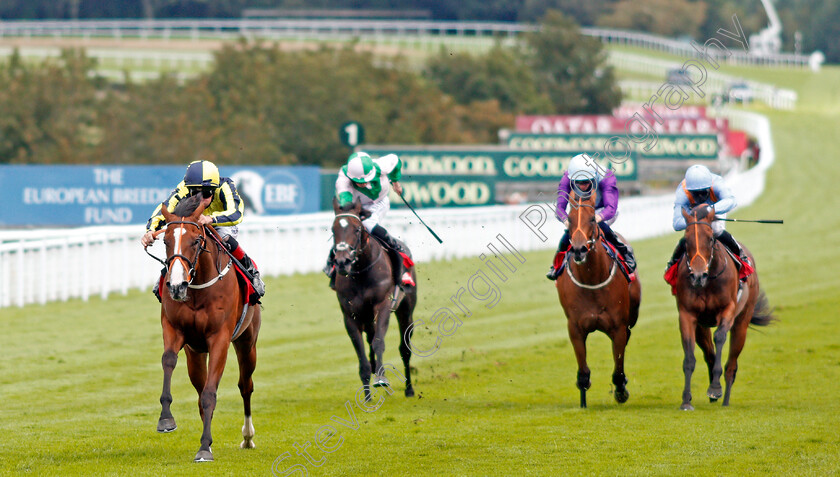 Isabella-Giles-0005 
 ISABELLA GILES (Adam Kirby) wins The Ladbrokes Prestige Stakes
Goodwood 29 Aug 2020 - Pic Steven Cargill / Racingfotos.com