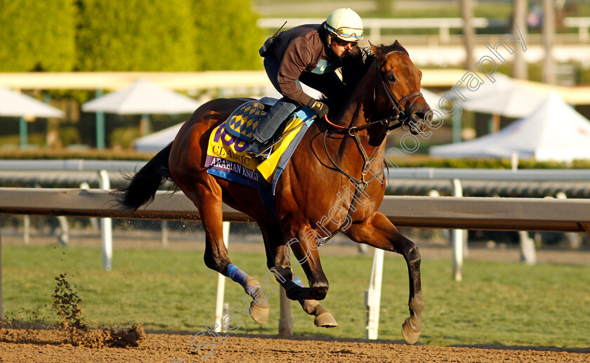 Arabian-Knight-0004 
 ARABIAN KNIGHT training for The Breeders' Cup Classic
Santa Anita USA, 30 Oct 2023 - Pic Steven Cargill / Racingfotos.com