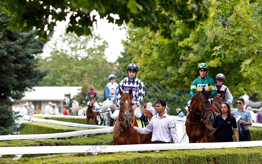 Roman-Spinner-0001 
 ROMAN SPINNER (Stefano Cherchi)
Kempton 10 Jul 2019 - Pic Steven Cargill / Racingfotos.com