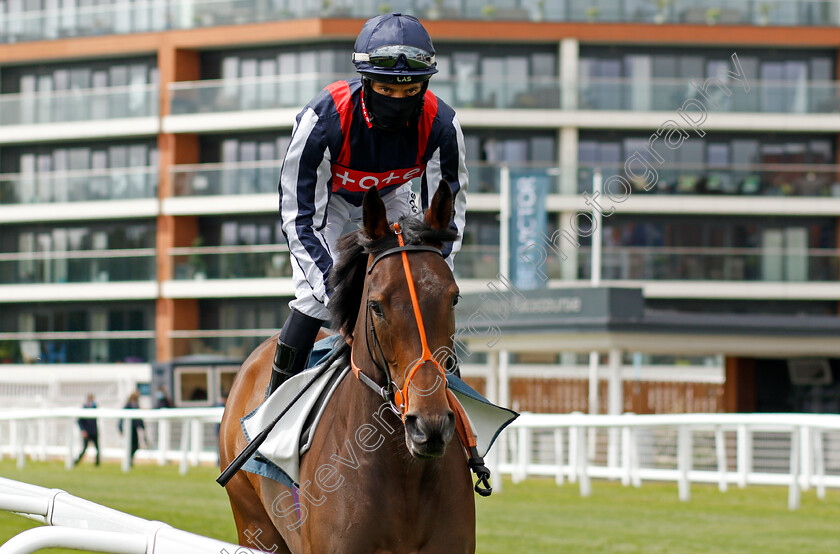 Happy-Romance-0001 
 HAPPY ROMANCE (Sean Levey)
Newbury 15 May 2021 - Pic Steven Cargill / Racingfotos.com