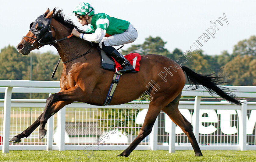 Geetanjali-0003 
 GEETANJALI (Cameron Noble) wins The Betway Heed Your Hunch Fillies Handicap
Sandown 30 Aug 2019 - Pic Steven Cargill / Racingfotos.com