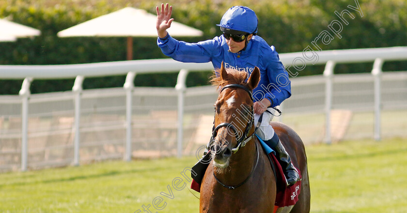 Notable-Speech-0016 
 NOTABLE SPEECH (William Buick) winner of The Qatar Sussex Stakes
Goodwood 31 Jul 2024 - Pic Steven Cargill / Racingfotos.com