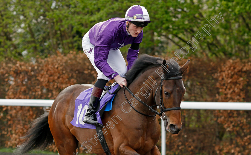 Toronto-Raptor-0002 
 TORONTO RAPTOR (David Egan)
Kempton 3 Apr 2024 - Pic Steven Cargill / Racingfotos.com