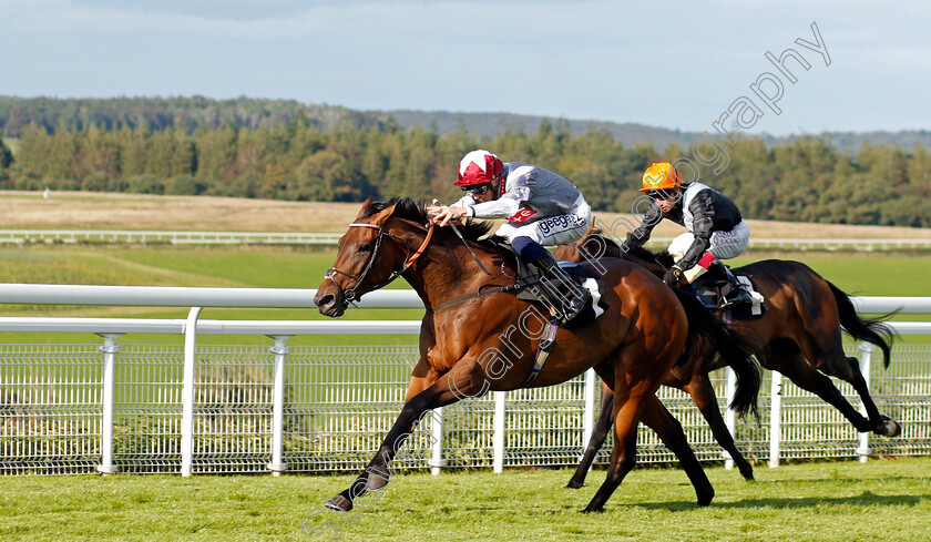 By-Starlight-0001 
 BY STARLIGHT (David Probert) wins The Cowslip Bank Fillies Handicap
Goodwood 29 Aug 2021 - Pic Steven Cargill / Racingfotos.com