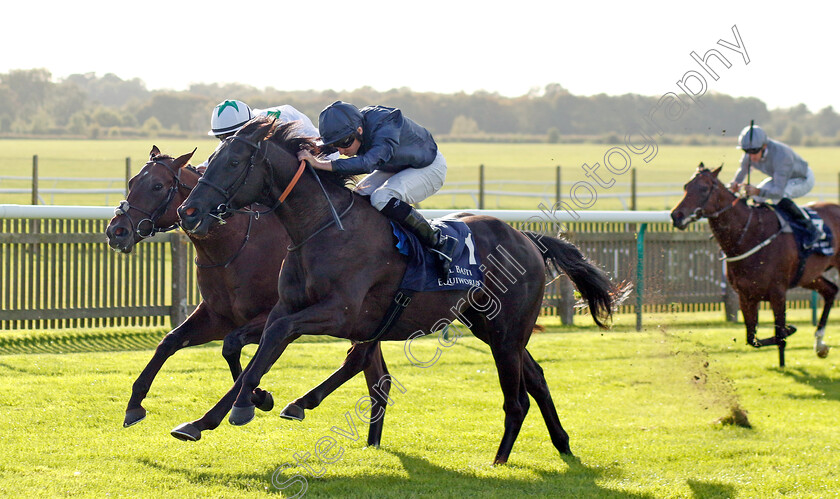 Accumulate-0002 
 ACCUMULATE (Ryan Moore) wins The Al Basti Equiworld Dubai British EBF Confined Maiden Stakes Div1
Newmarket 29 Sep 2023 - Pic Steven Cargill / Racingfotos.com