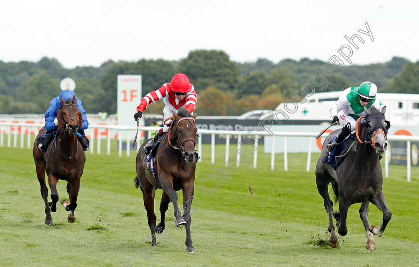 Desert-Angel-0002 
 DESERT ANGEL (right, Hollie Doyle) beats LA PULGA (left) in The Vertem Nursery
Doncaster 11 Sep 2021 - Pic Steven Cargill / Racingfotos.com