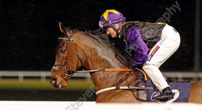 Rainbow-Dreamer-0002 
 RAINBOW DREAMER (Hollie Doyle) winner of The Betway Conditions Stakes
Wolverhampton 13 Jan 2020 - Pic Steven Cargill / Racingfotos.com