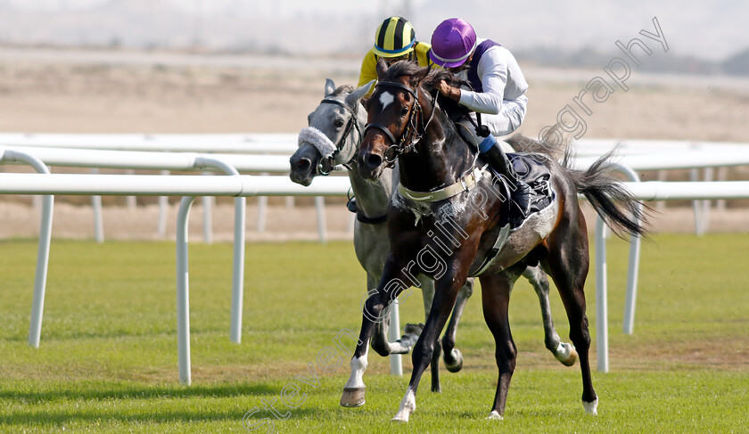 Krushan-0003 
 KRUSHAN (Ebrahim Nader) wins The Bahrain Economic Development Board Cup for purebred arabians
Sakhir Racecourse, Bahrain 19 Nov 2021 - Pic Steven Cargill / Racingfotos.com