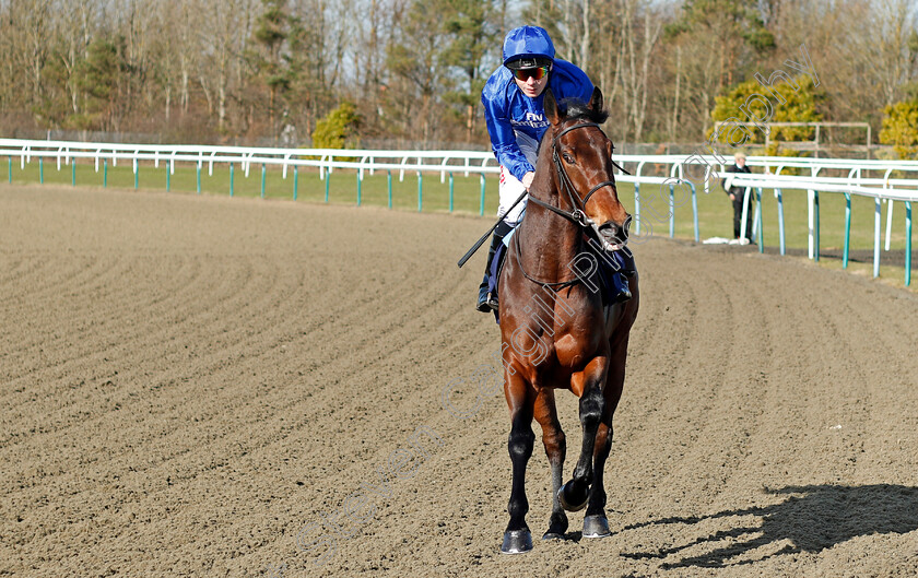 Jazirat-0002 
 JAZIRAT (Jamie Spencer) Lingfield 16 Feb 2018 - Pic Steven Cargill / Racingfotos.com