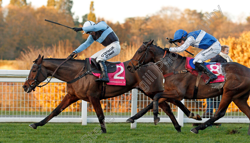 Sir-Valentino-0005 
 SIR VALENTINO (J J Burke) beats CEPAGE (right) in The Shawbrook Handicap Chase Ascot 25 Nov 2017 - Pic Steven Cargill / Racingfotos.com