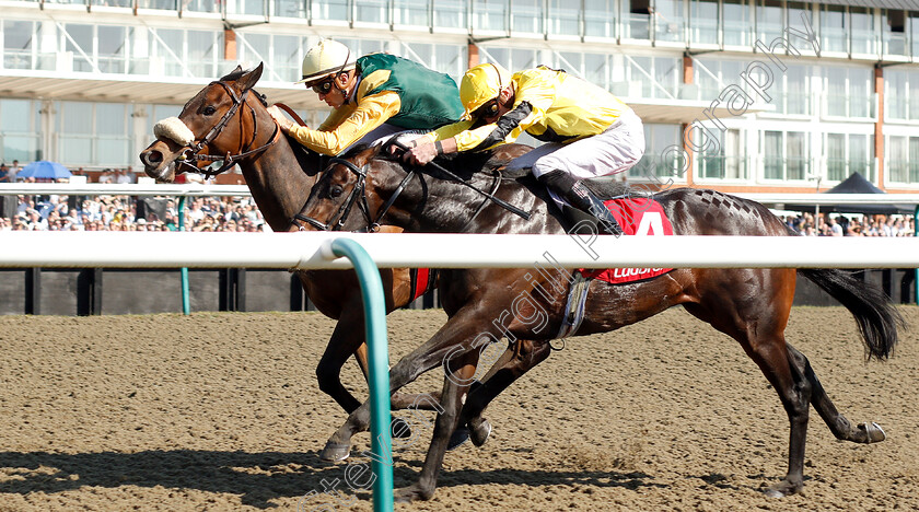 Pizzicato-0003 
 PIZZICATO (farside, Christophe Soumillon) beats DEPUTISE (nearside) in The Ladbrokes 3 Year Old All-Weather Championships Stakes
Lingfield 19 Apr 2019 - Pic Steven Cargill / Racingfotos.com