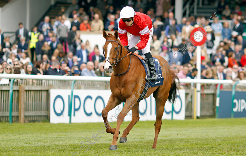 Malavath 
 MALAVATH (Christophe Soumillon)
Newmarket 1 May 2022 - Pic Steven Cargill / Racingfotos.com