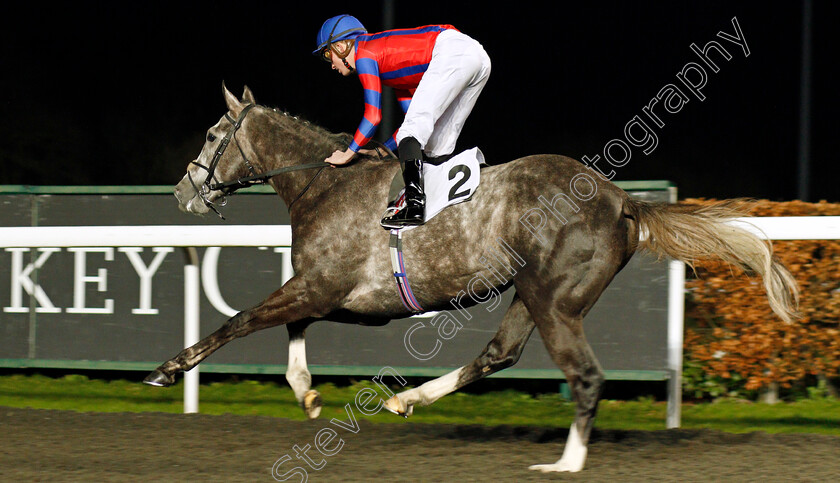 Arctic-Vega-0008 
 ARCTIC VEGA (Rob Hornby) wins The 32Red On The App Store Maiden Stakes Div1
Kempton 19 Feb 2020 - Pic Steven Cargill / Racingfotos.com