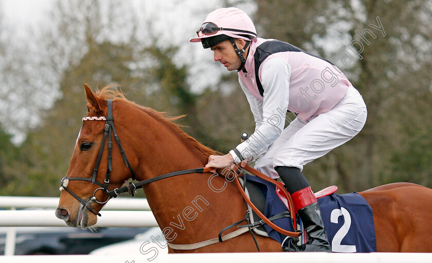 Apollo-One-0001 
 APOLLO ONE (Martin Harley)
Lingfield 5 Feb 2022 - Pic Steven Cargill / Racingfotos.com