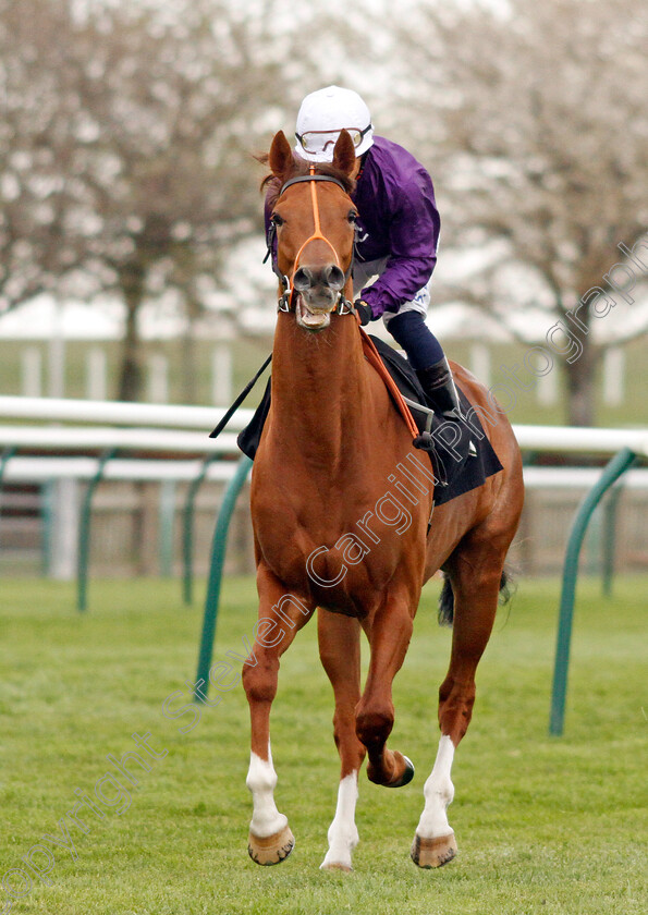 Thunder-Max-0001 
 THUNDER MAX (Silvestre De Sousa)
Newmarket 12 Apr 2022 - Pic Steven Cargill / Racingfotos.com