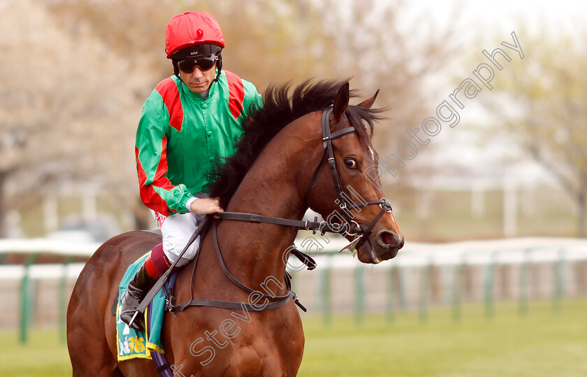 Azano-0001 
 AZANO (Frankie Dettori)
Newmarket 16 Apr 2019 - Pic Steven Cargill / Racingfotos.com