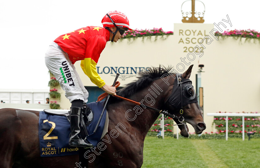 Artorius-0003 
 ARTORIUS (Jamie Spencer)
Royal Ascot 18 Jun 2022 - Pic Steven Cargill / Racingfotos.com