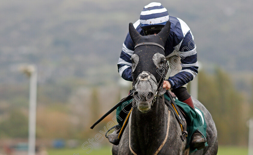 Al-Dancer-0007 
 AL DANCER (Sam Twiston-Davies) wins The squareintheair.com Novices Chase
Cheltenham 25 Oct 2019 - Pic Steven Cargill / Racingfotos.com