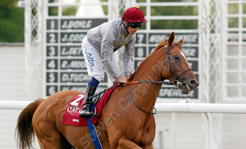 Duhail-0001 
 DUHAIL (Jim Crowley)
Goodwood 28 Jul 2021 - Pic Steven Cargill / Racingfotos.com