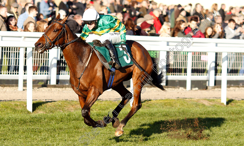 Palmers-Hill-0002 
 PALMERS HILL (Jonjo O'Neill Jr) wins The Steve And Sue Ibberson Happy Retirement Conditional Jockeys Handicap Hurdle
Cheltenham 18 Nov 2018 - Pic Steven Cargill / Racingfotos.com