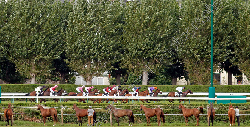 Deauville-0005 
 Polo ponies watch Racing at Deauville
Deauville 12 Aug 2023 - Pic Steven Cargill / Racingfotos.com