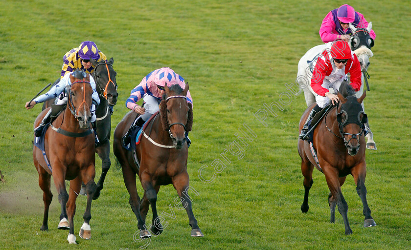 Han-Solo-Berger-0006 
 HAN SOLO BERGER (centre, Tom Queally) beats EXCELLENT GEORGE (left) and FOXY FOREVER (right) in The Injured Jockeys Fund Handicap
Yarmouth 17 Sep 2019 - Pic Steven Cargill / Racingfotos.com