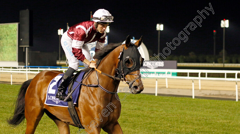 Al-Hajaj-0001 
 AL HAJAJ (Ray Dawson)
Meydan 27 Jan 2023 - Pic Steven Cargill / Racingfotos.com