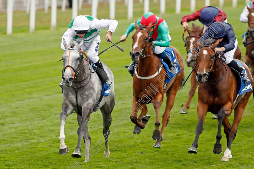 Alpinista-0007 
 ALPINISTA (Luke Morris) beats TUESDAY (right) in The Darley Yorkshire Oaks
York 18 Aug 2022 - Pic Steven Cargill / Racingfotos.com