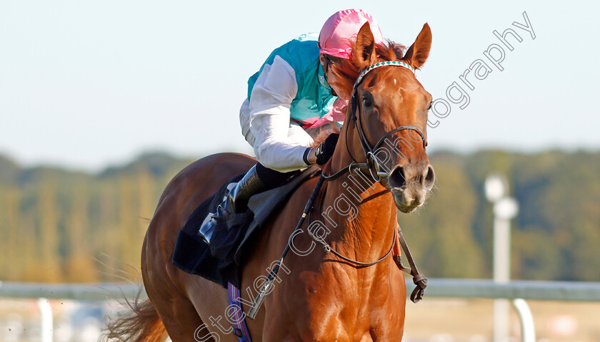 Quadrilateral-0011 
 QUADRILATERAL (Jason Watson) wins The Dubai Duty Free Full Of Surprises British EBF Fillies Conditions Stakes
Newbury 20 Sep 2019 - Pic Steven Cargill / Racingfotos.com