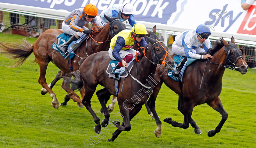 Ropey-Guest-0001 
 ROPEY GUEST (right, Tom Queally) beats POINT LYNAS (centre) in The Clipper Handicap
York 24 Aug 2023 - Pic Steven Cargill / Racingfotos.com