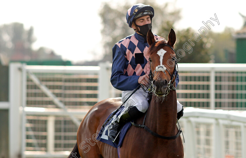 Dancing-To-Win-0001 
 DANCING TO WIN (James Doyle)
Yarmouth 20 Oct 2020 - Pic Steven Cargill / Racingfotos.com