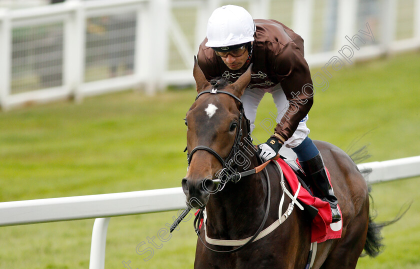 Lord-Lamington-0006 
 LORD LAMINGTON (Silvestre De Sousa) wins The Starsports.bet Handicap
Sandown 30 May 2019 - Pic Steven Cargill / Racingfotos.com