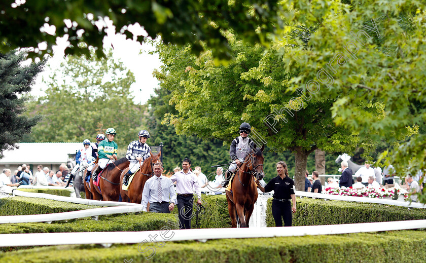 Briyouni-0001 
 BRIYOUNI (Charlotte Bennett) 
Kempton 10 Jul 2019 - Pic Steven Cargill / Racingfotos.com