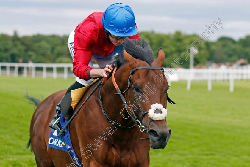 Bay-Bridge-0006 
 BAY BRIDGE (Ryan Moore) wins The Coral Brigadier Gerard Stakes
Sandown 26 May 2022 - Pic Steven Cargill / Racingfotos.com